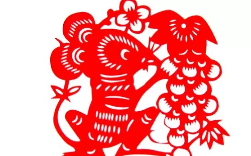 1972年属鼠的整体运势如何呢女生(1)