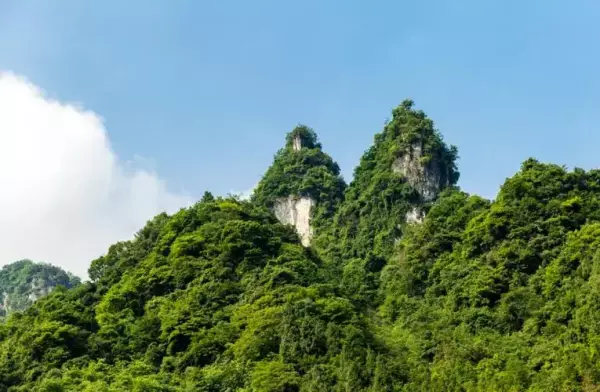 峯是什么意思百度百科(2)