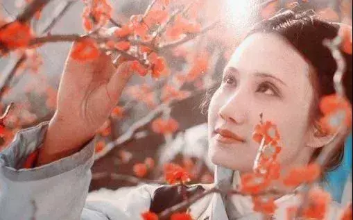 红楼梦中的金陵十二钗分别是哪些女性形象(5)