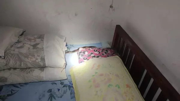 做梦蛇爬到床上是什么预兆周公解梦女人(7)