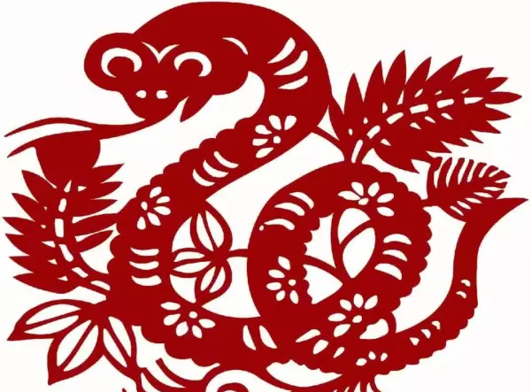 上班女士梦到蛇啥意思啊周公解梦(2)