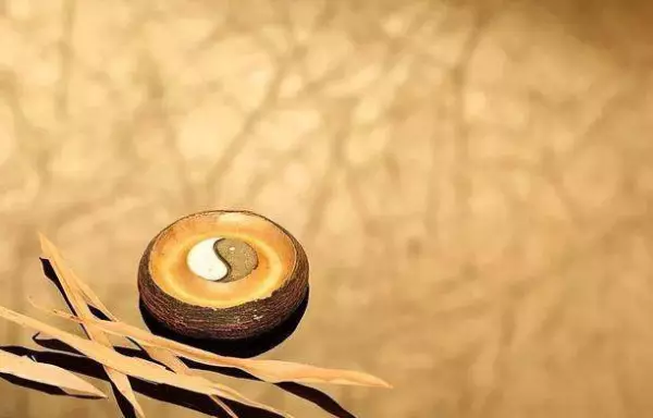 易经选日子比较准的人有哪些特点呢(11)