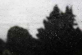 地雷复俩人缘分尽了吗(2)