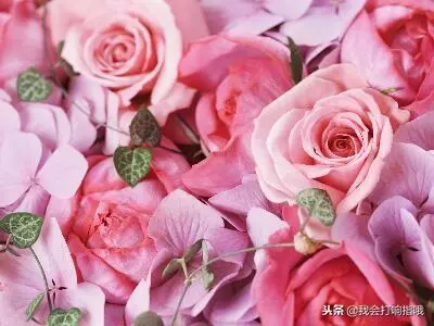 梦见儿子被学校劝退是什么意思周公解梦(1)