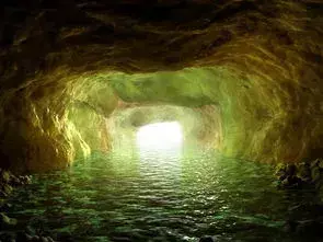 梦见家里很多大蛇什么意思周公解梦女人(2)