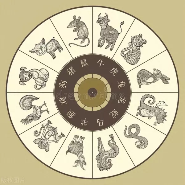 蛇的三合和六个合生肖是什么(1)