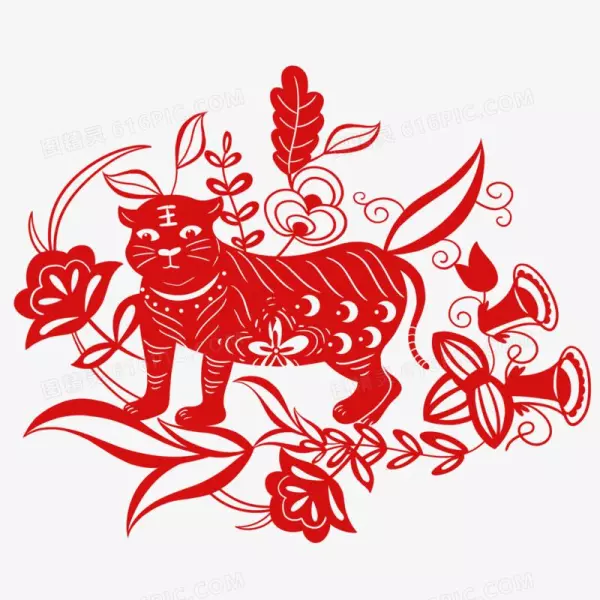 属虎的人怎么提升运气和运势和财运和财运(4)