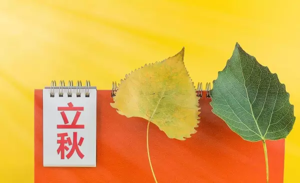 今年立秋是哪天2023(5)