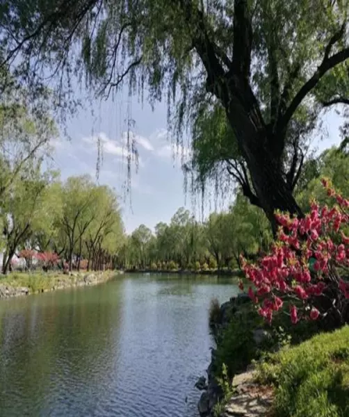 靠自己奋斗出来的生活才是你自己的命运(2)