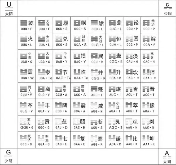 易经与平行世界的关系论文800字开头怎么写(1)