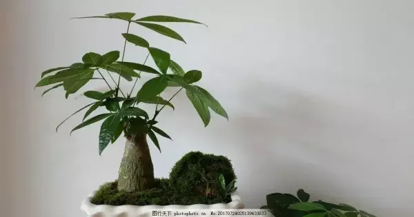 算命的说我头上有个圈是什么意思(2)