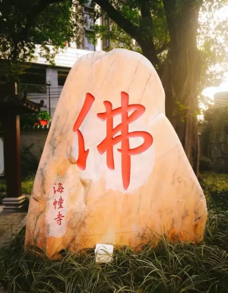 瑚的组词和拼音是什么(4)