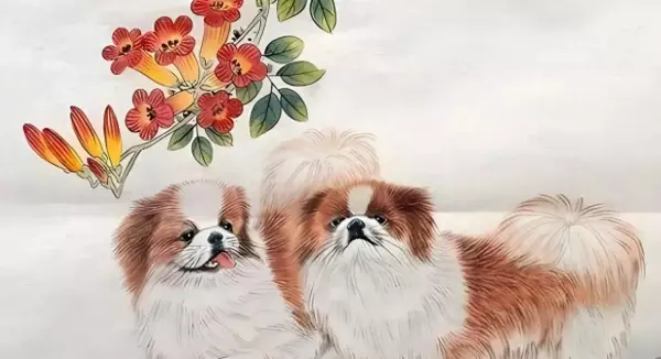 狗年出生的人的命运年属狗家园自眠之狗(1)