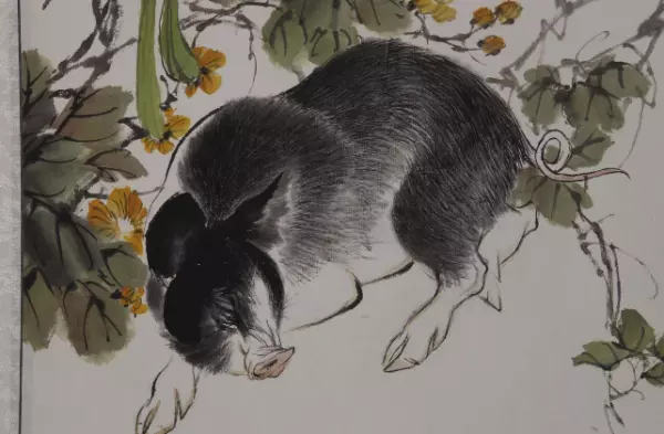 属猪人的婚姻大忌1971 女狗命运如何呢(2)