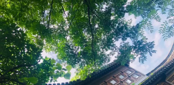 形容盛夏蝉鸣的优美诗词(4)