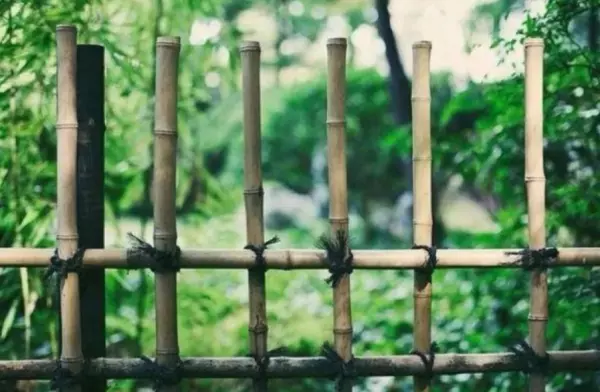 形容盛夏蝉鸣的优美诗词(8)