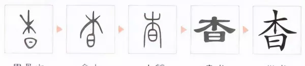 日字头加木字底是什么字(3)