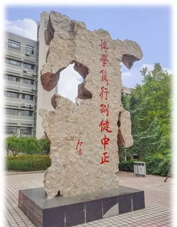 将自己的前途命运与国家的大学生例子(11)