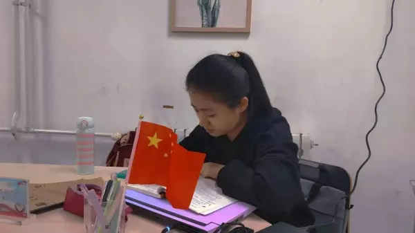 将自己的前途命运与国家的大学生例子(3)
