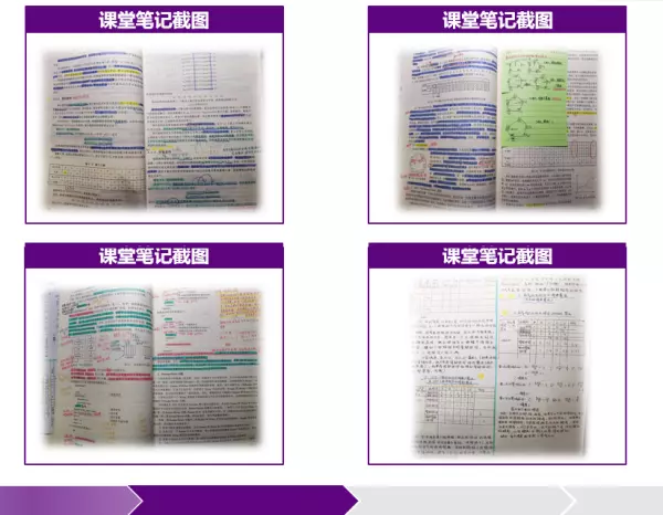 将自己的前途命运与国家的大学生例子(4)