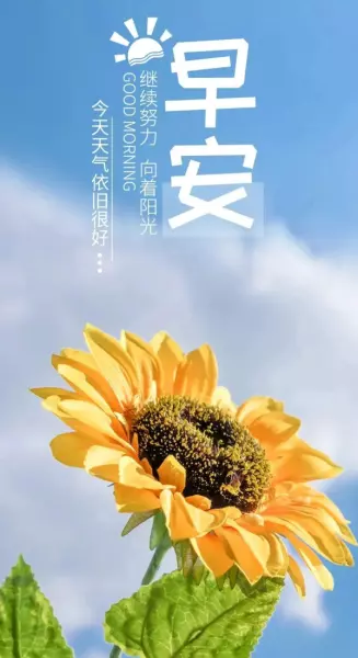 黄伊娜名字的含义(3)