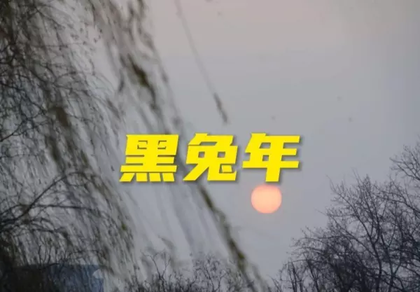 蛇在2022年兔年的运势是什么意思啊(1)