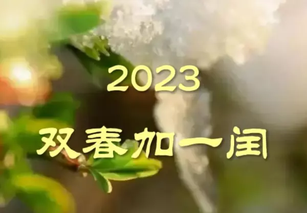 蛇在2022年兔年的运势是什么意思啊(2)