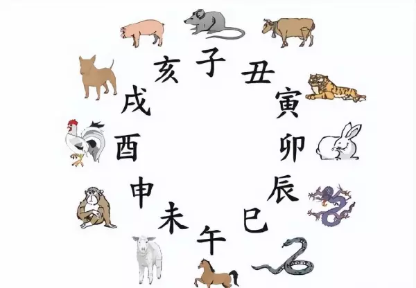 蛇在2022年兔年的运势是什么意思啊(3)