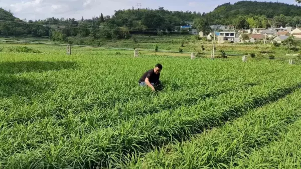 团队心态决定了一个人的命运说说怎么写(4)