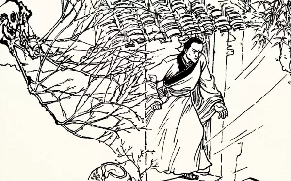 主屋地基没打好会影响主人运势吗怎么办(2)