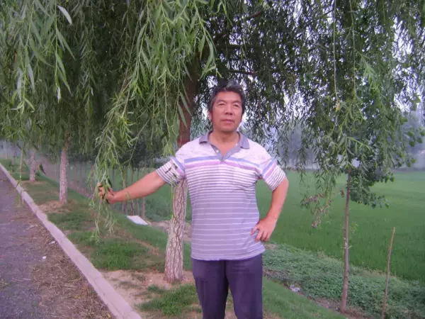 梦见用镰刀割粮食啥意思啊周公解梦是什么(3)
