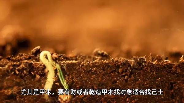 壬水女配什么丈夫最好(2)