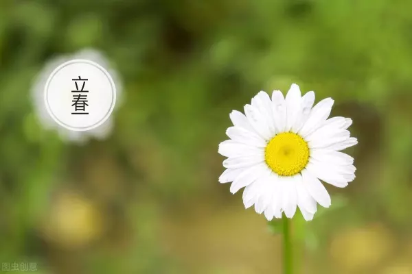 五九年出生猪女2021年运势如何呢(1)