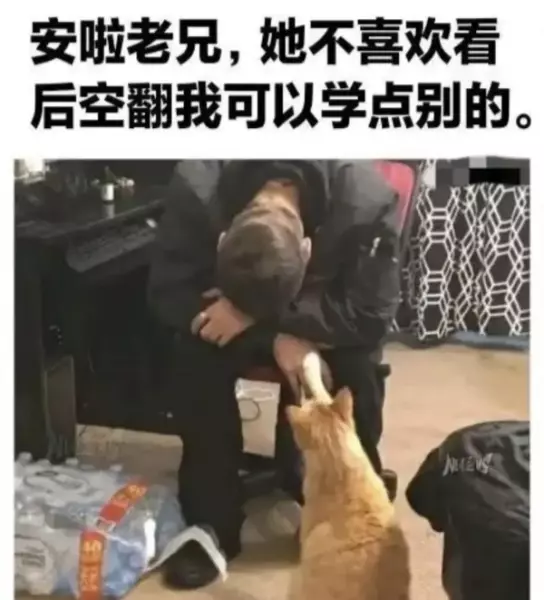 妈妈怀孕了,不知道我要当哥哥还是姐姐(32)