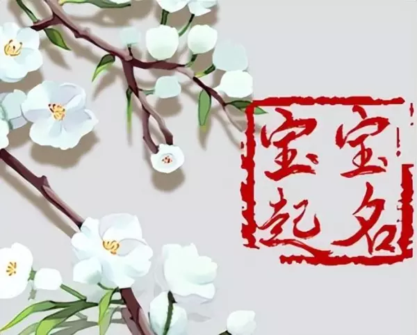 带桐字的男孩名字 桐字和什么字搭配好听(2)