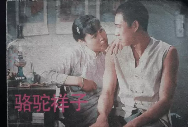 骆驼祥子中祥子一生命运的三部曲是什么(3)