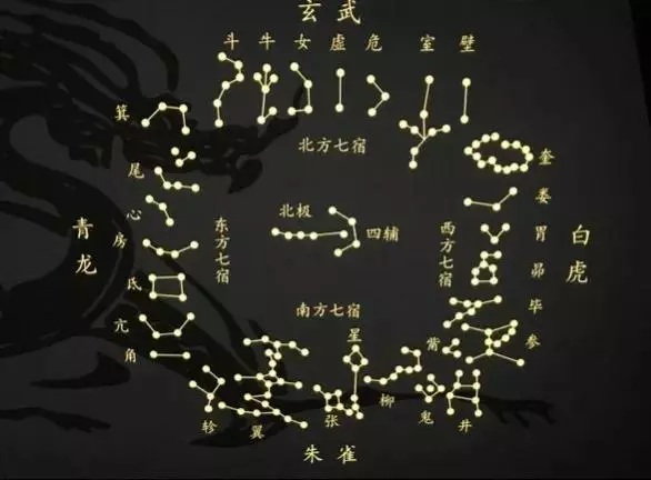 翼火蛇和胃土雉是什么星宿关系(1)