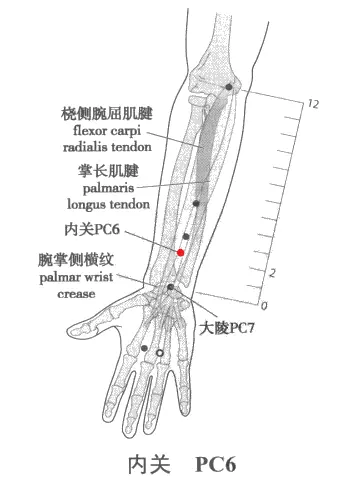 女人梦见吃人参什么意思啊周公解梦(5)