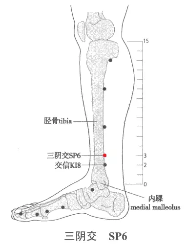 女人梦见吃人参什么意思啊周公解梦(7)