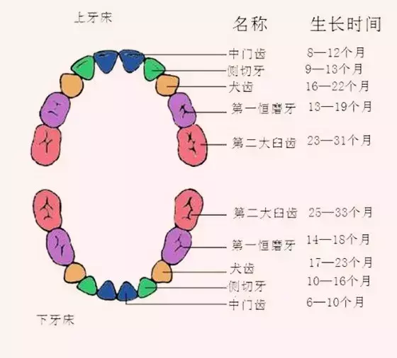 梦见上边大牙掉了一颗预兆什么呢周公解梦(1)