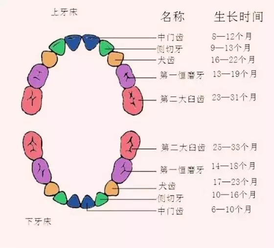 梦见上边大牙掉了一颗预兆什么呢周公解梦(2)