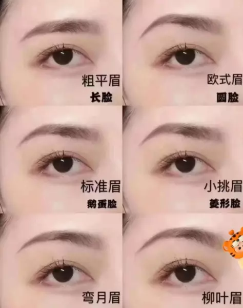 眉毛稀少纹眉适合雾眉还是线条眉(1)