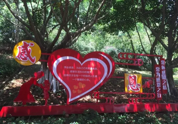 感恩的心感恩命运这支歌叫什么名字(1)