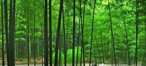易经中劝人别冲动的话是什么句子呢(6)