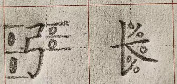 张字有几画笔画顺序怎么写(4)