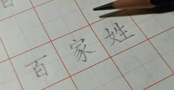 张字有几画笔画顺序怎么写(5)