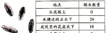 谷雨前后种瓜点豆体现了哪些非生物因素对生物的影响(4)