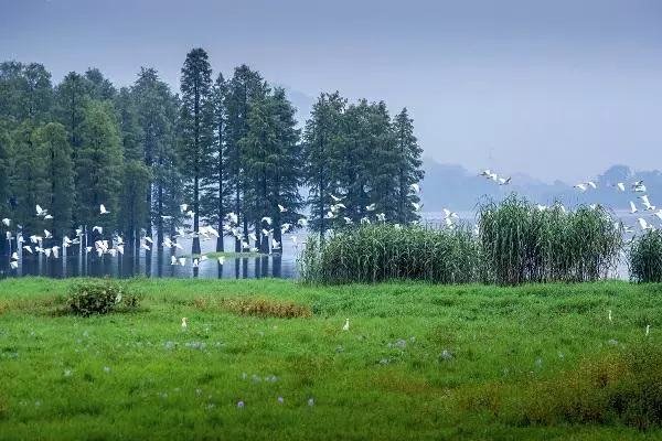 四明山旅游景点有哪些(1)