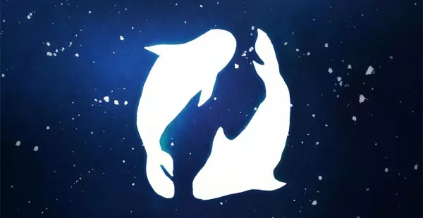 处女座今日运势男和双鱼女相配吗(3)
