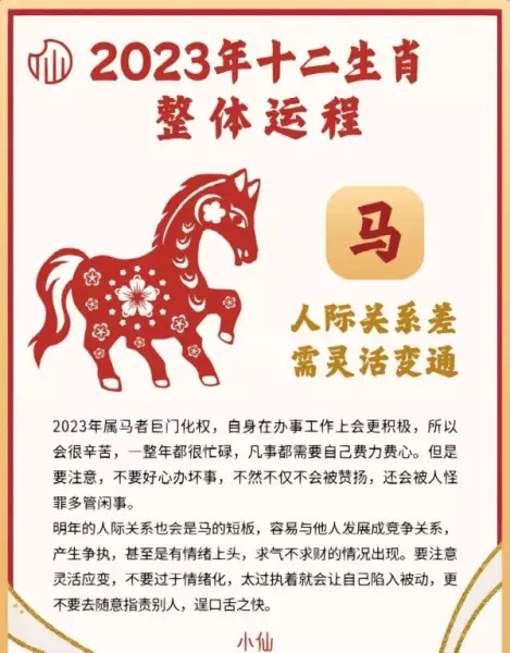 2023年乙亥猪女全年运势如何呢(2)